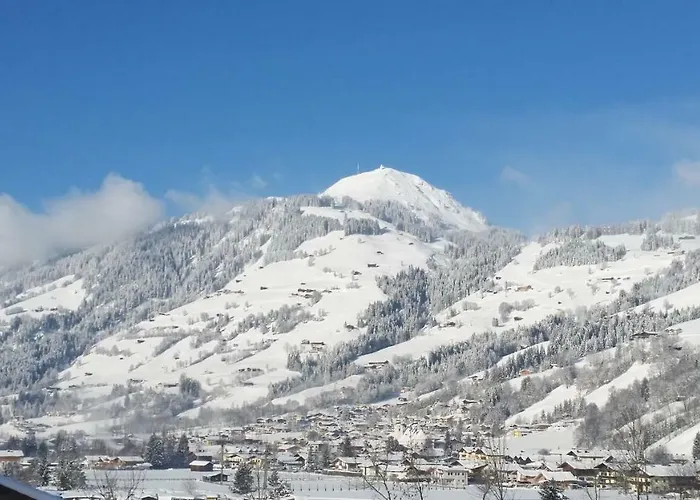 Appartement Heidegger *